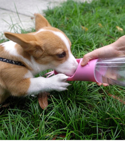 2-in-1 Dog Water & Food Dispenser
